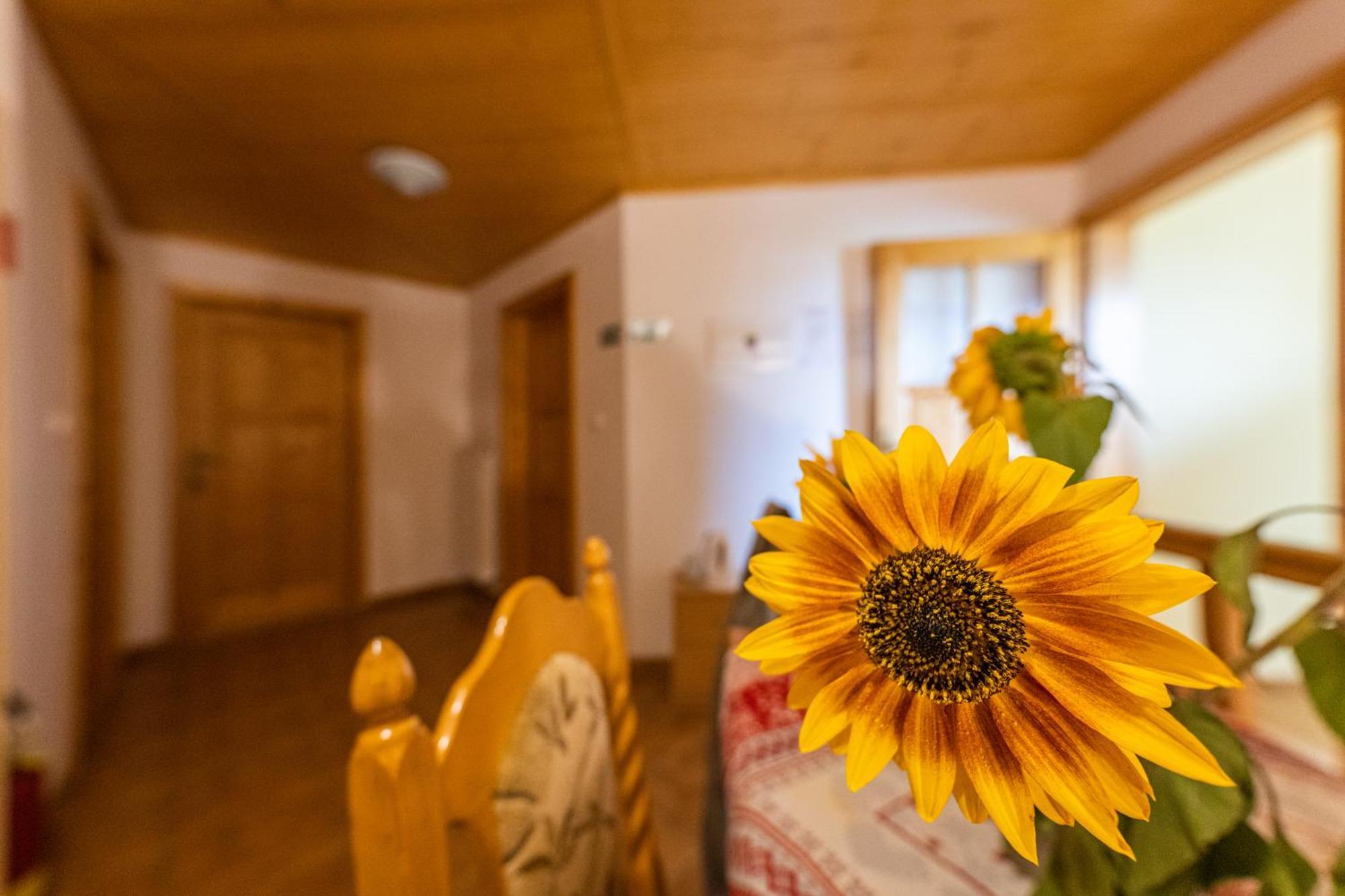 Penzion Jas Zuberec Exteriér fotografie